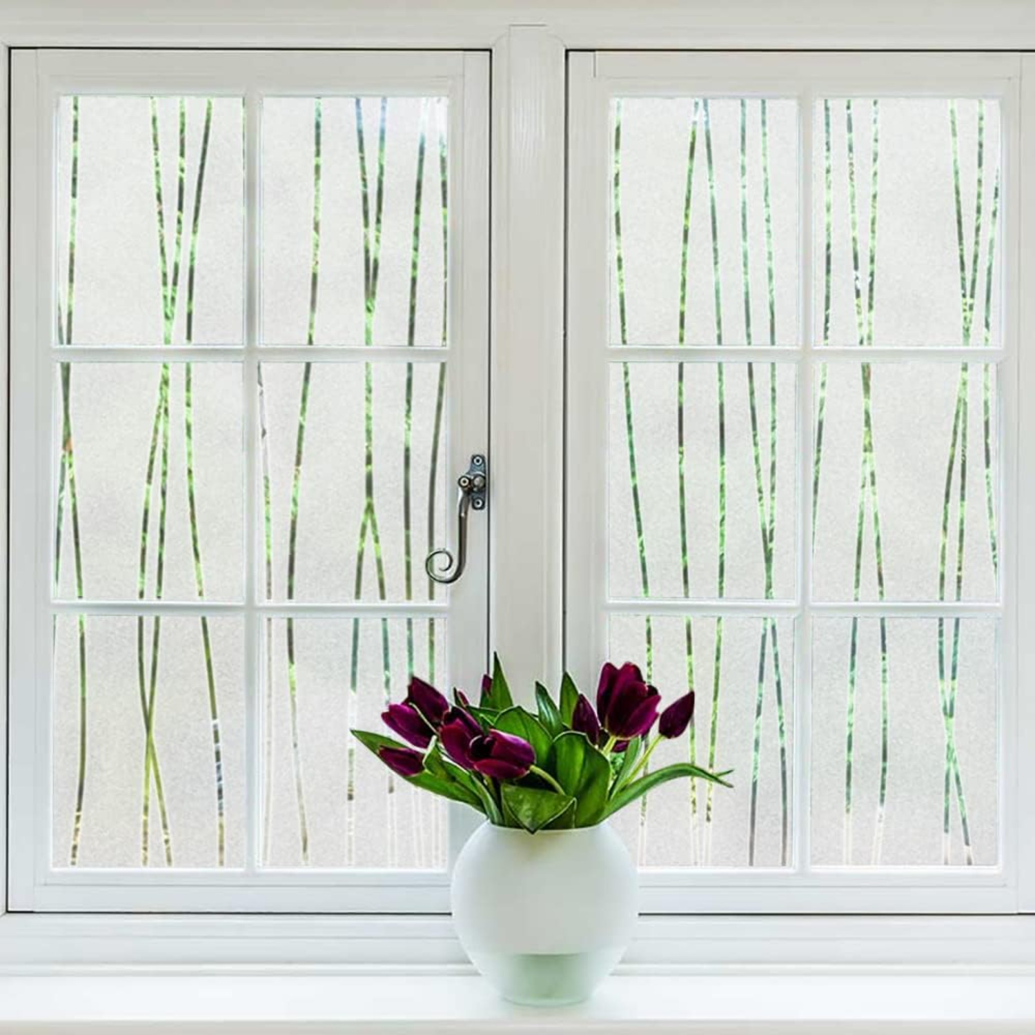 Pellicola Privacy per Finestre - Home Bathroom Window Tint recensione e prezzo