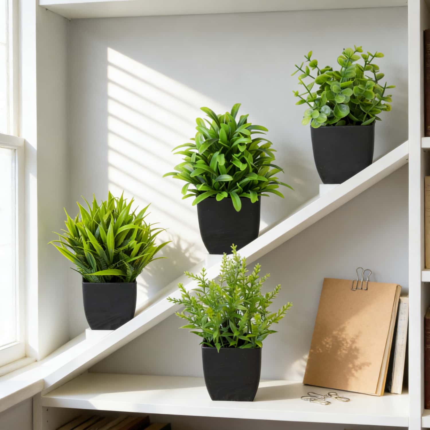1 Pezzo Mini Pianta di Eucalip - Home Bathroom Shelf recensione e prezzo